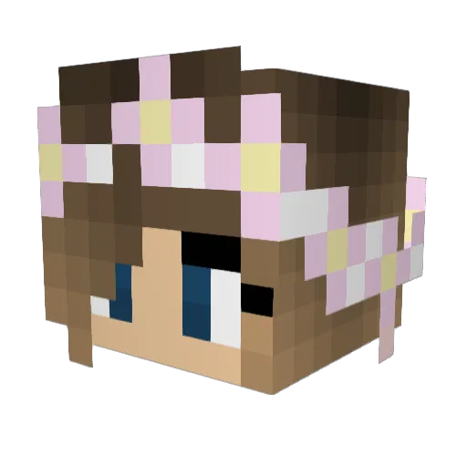 Matskkusten Minecraft avatar head, 3D render