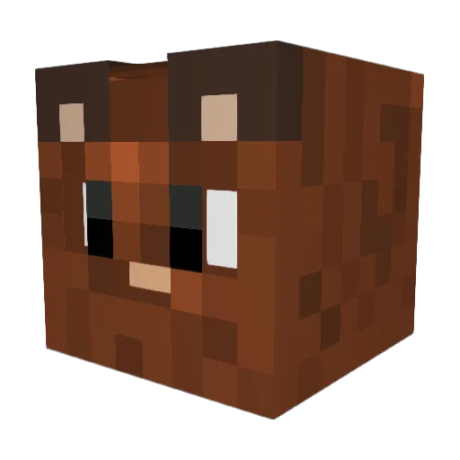 Matt1138 Minecraft avatar head, 3D render