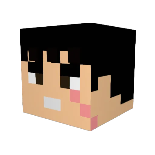 Matt13_97 Minecraft avatar head, 3D render