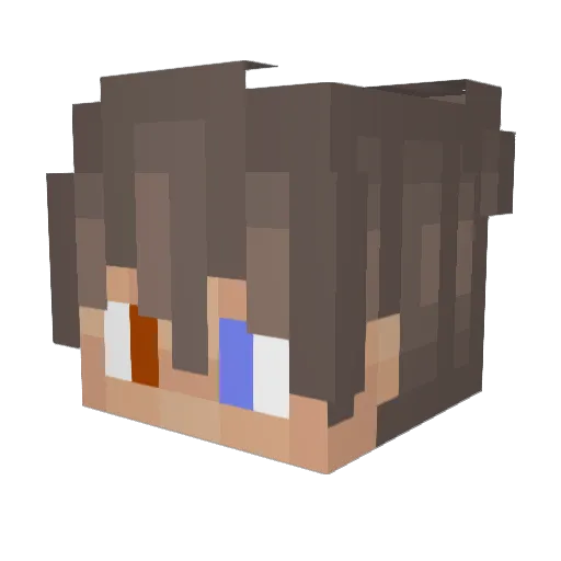 Matt2345 Minecraft avatar head, 3D render