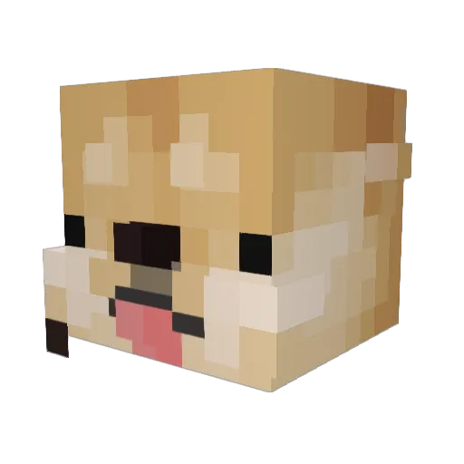 MattDogeTaylor Minecraft avatar head, 3D render