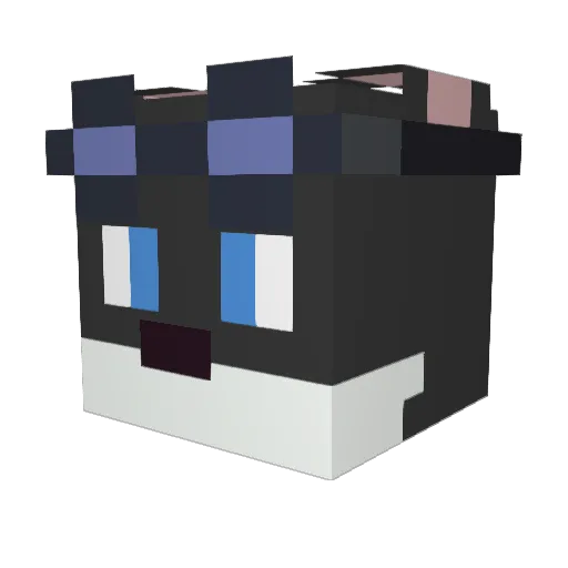 MattGamer9812 Minecraft avatar head, 3D render