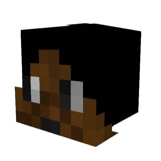 MattTheCreeper2 Minecraft avatar head, 3D render