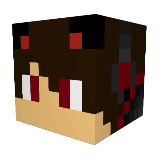 Matt_K9 Minecraft avatar head, 3D render