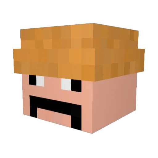 Mattatolltilla Minecraft avatar head, 3D render