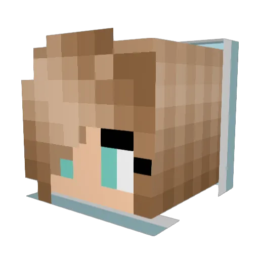 Matte425 Minecraft avatar head, 3D render