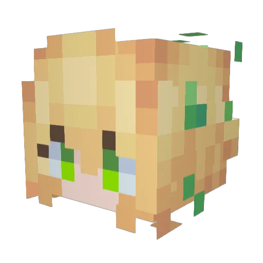 Mattew12 Minecraft avatar head, 3D render