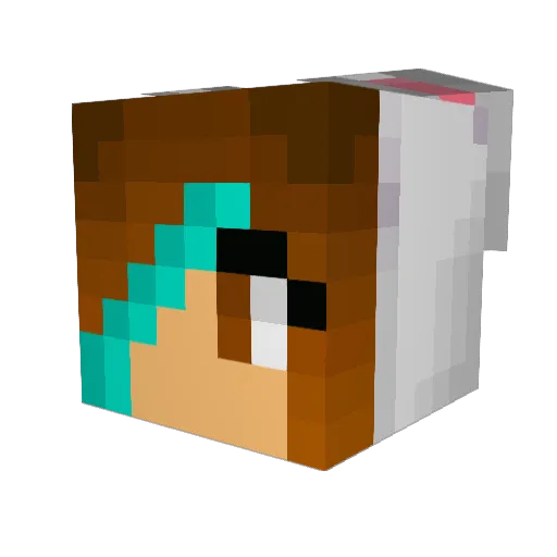 Matthew0529 Minecraft avatar head, 3D render