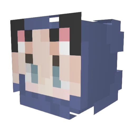 Matthew1231 Minecraft avatar head, 3D render