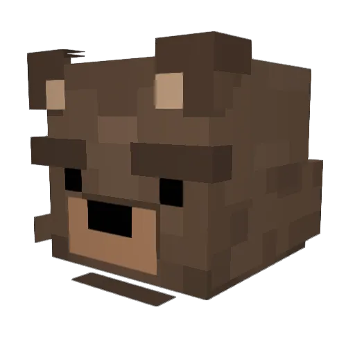 Matthew31415 Minecraft avatar head, 3D render