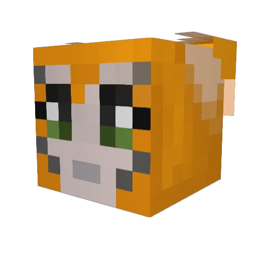 Matthew9482 Minecraft avatar head, 3D render