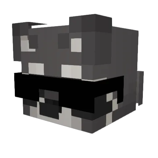 Matthew_200 Minecraft avatar head, 3D render