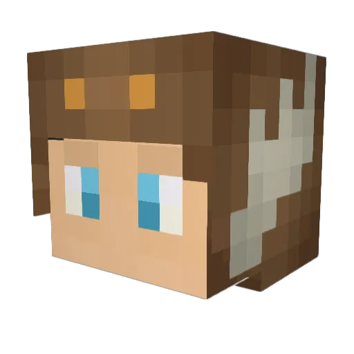 Matthew_Li Minecraft avatar head, 3D render