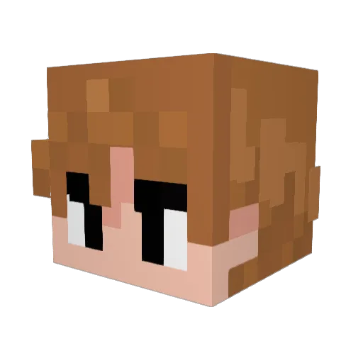 Matthijs15 Minecraft avatar head, 3D render