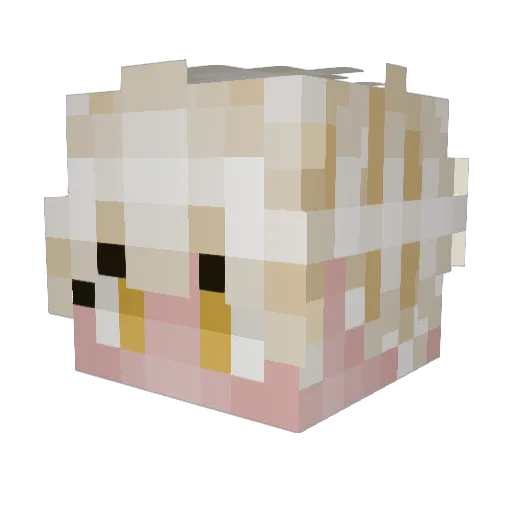 MattiMatti14 Minecraft avatar head, 3D render