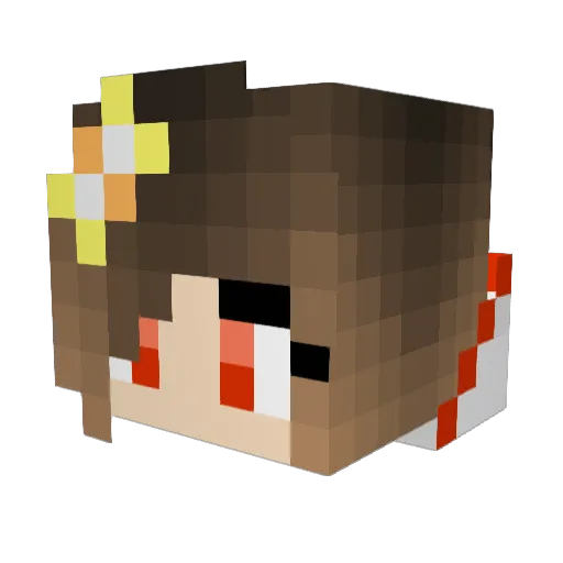 Mattibruce Minecraft avatar head, 3D render
