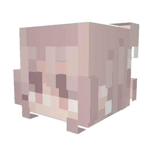 MatticulusNA Minecraft avatar head, 3D render