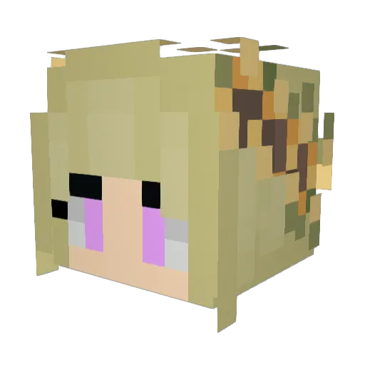 Mattie1472 Minecraft avatar head, 3D render