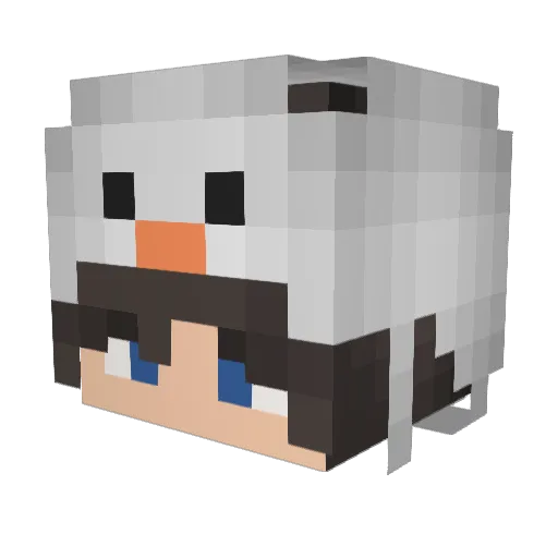 Mattkass Minecraft avatar head, 3D render