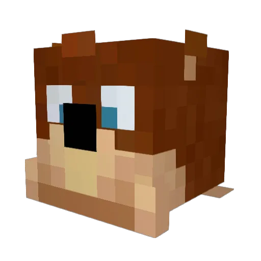 Mattkozlosky Minecraft avatar head, 3D render