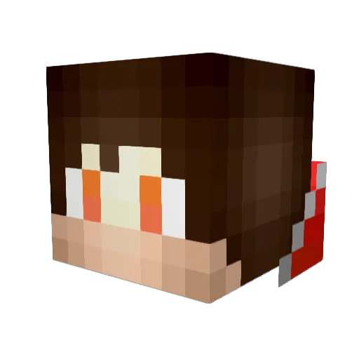 Mattooee Minecraft avatar head, 3D render