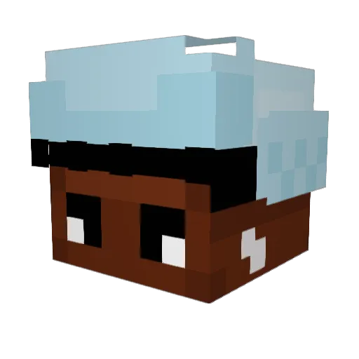 Matty8992 Minecraft avatar head, 3D render