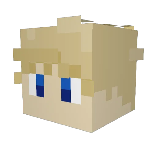 MattyB_DoesntRap Minecraft avatar head, 3D render