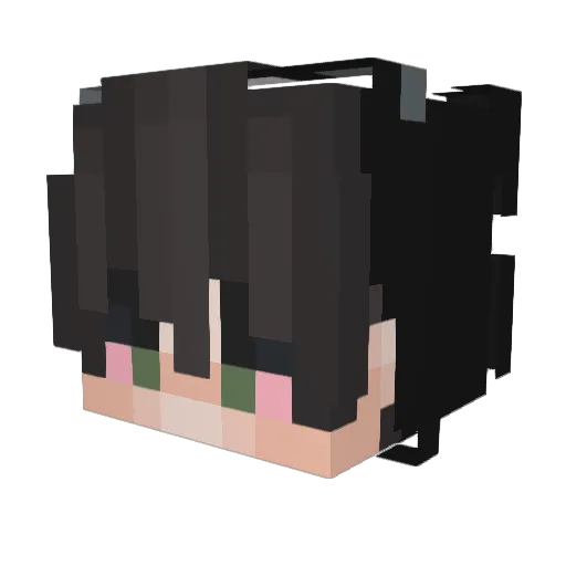 MattyMakeUWet Minecraft avatar head, 3D render