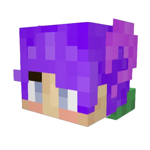 Matty_DarkTV Minecraft avatar head, 3D render