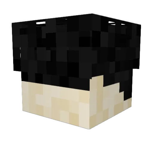 Matty_Ice762 Minecraft avatar head, 3D render