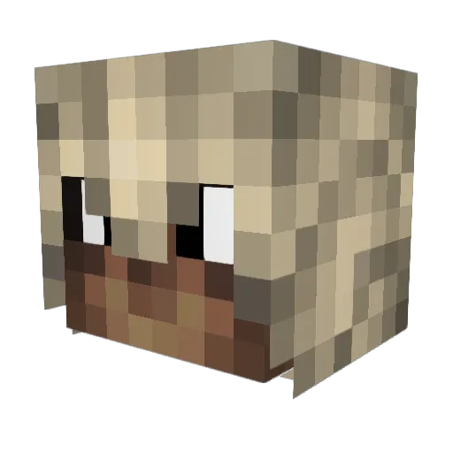 Mattyboi1137 Minecraft avatar head, 3D render