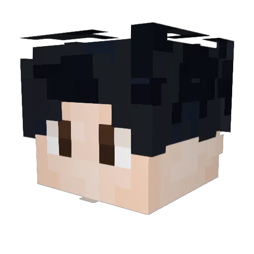 MatuCos31 Minecraft avatar head, 3D render
