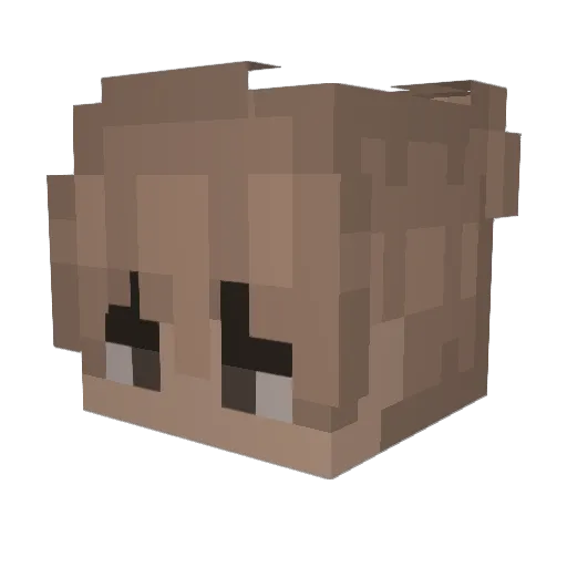 Matulinek45612 Minecraft avatar head, 3D render