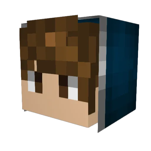 Matwith04 Minecraft avatar head, 3D render