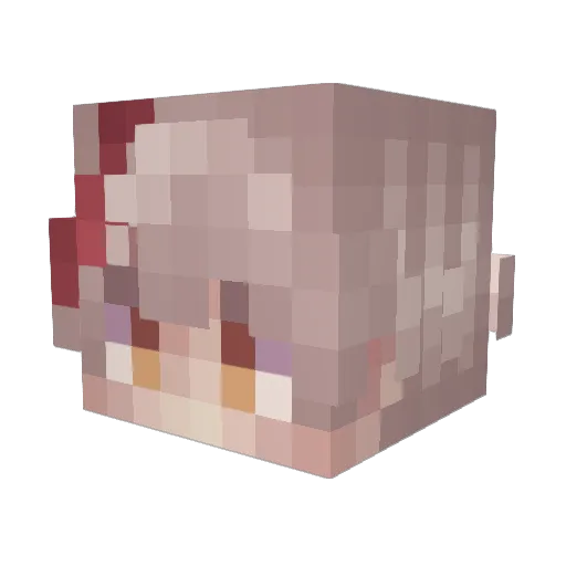 Matxilla Minecraft avatar head, 3D render