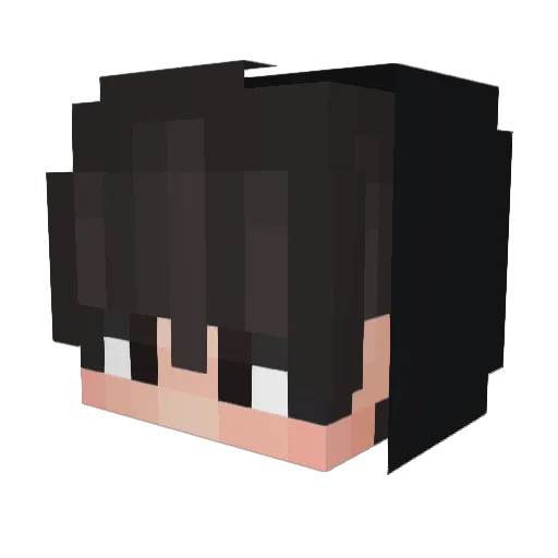 Matylele99 Minecraft avatar head, 3D render