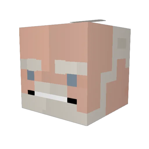 Mau123_XD Minecraft avatar head, 3D render