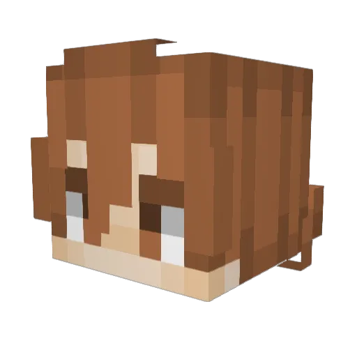 Maubeo Minecraft avatar head, 3D render