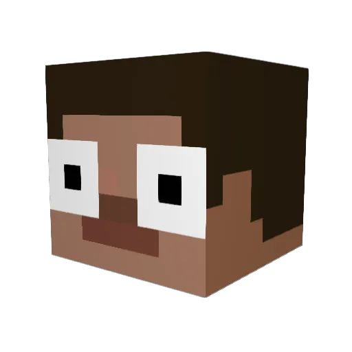 Maui Minecraft avatar head, 3D render