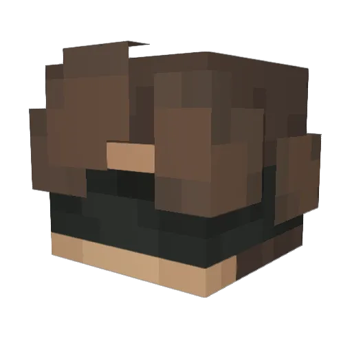 Mauntii_ Minecraft avatar head, 3D render
