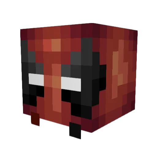 Mauri21_TV Minecraft avatar head, 3D render