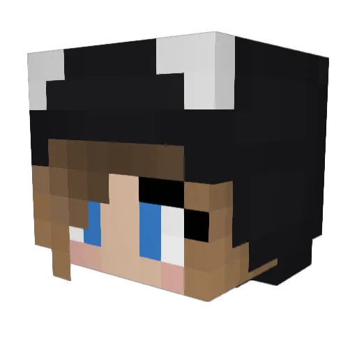 Maus12345 Minecraft avatar head, 3D render