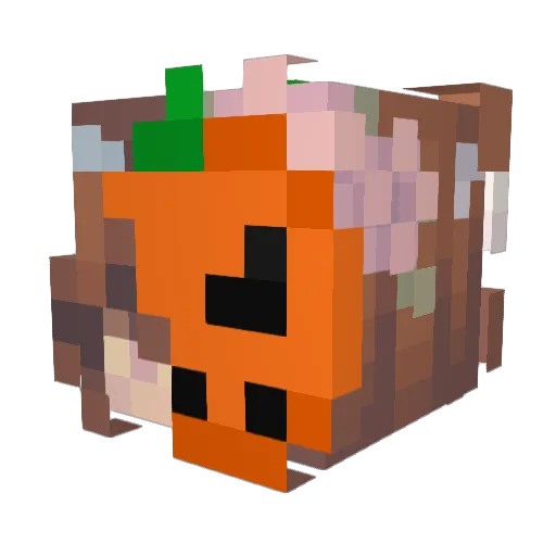 Maus1302 Minecraft avatar head, 3D render