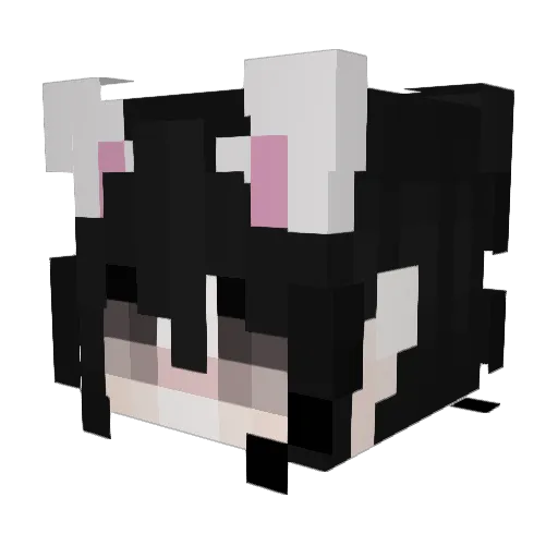 Maus21098 Minecraft avatar head, 3D render