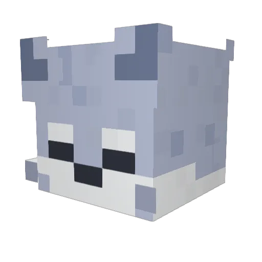 Mauxinho Minecraft avatar head, 3D render
