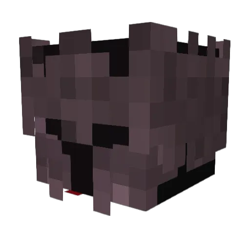Maverick1415 Minecraft avatar head, 3D render
