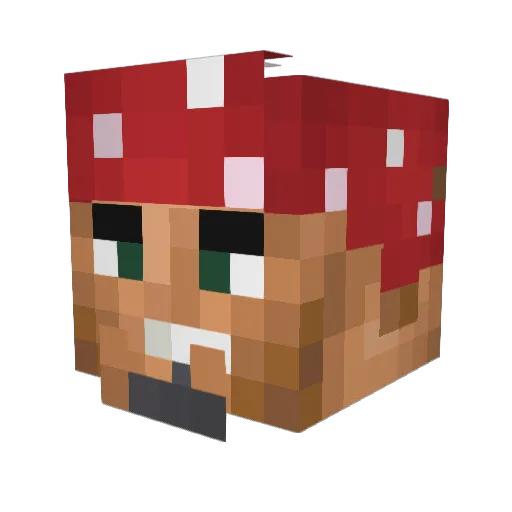 Maverick342 Minecraft avatar head, 3D render