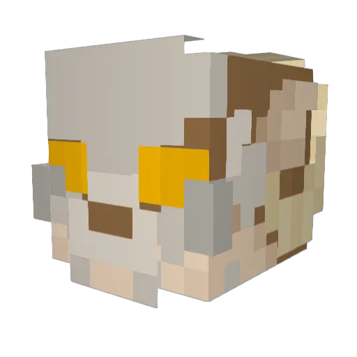 MaverickWicker Minecraft avatar head, 3D render