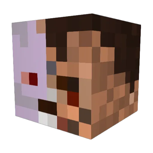 Maverick_____ Minecraft avatar head, 3D render