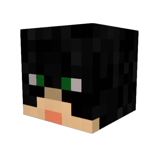 Mavi696 Minecraft avatar head, 3D render